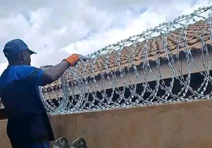 A technician fixing razor wire on top of a wall fence.